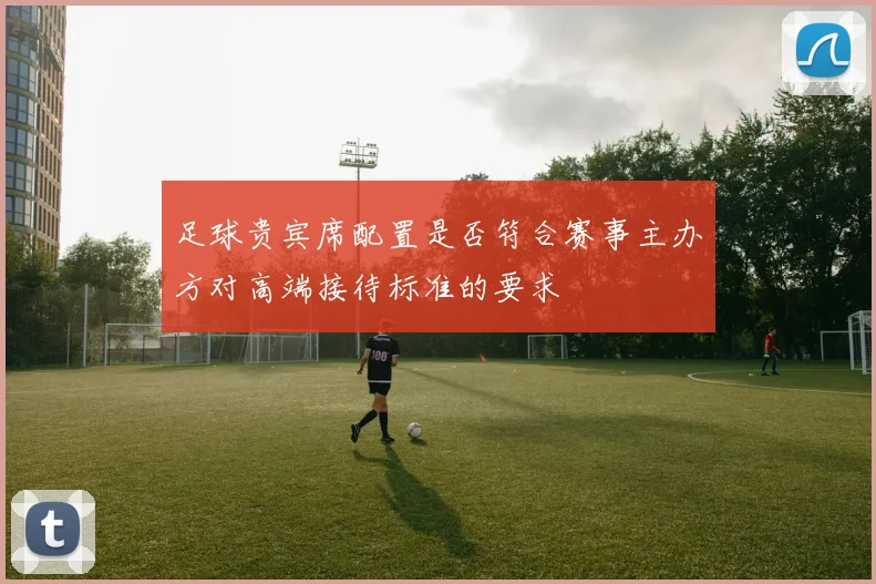 足球贵宾席配置是否符合赛事主办方对高端接待标准的要求