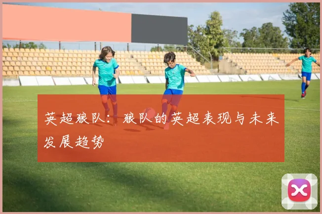 英超狼队：狼队的英超表现与未来发展趋势